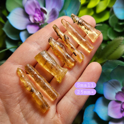 Amber Wand with Insects, Natural Young Amber with Bug Inclusions