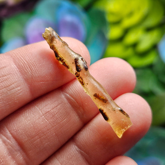 Amber Wand with Insects, Natural Young Amber with Bug Inclusions