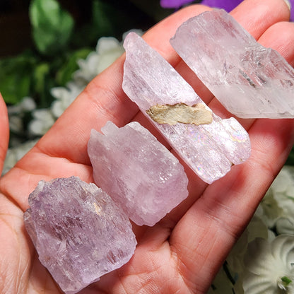 XL Kunzite Crystal