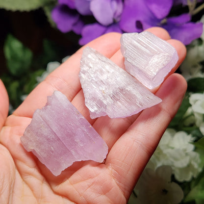 XL Kunzite Crystal