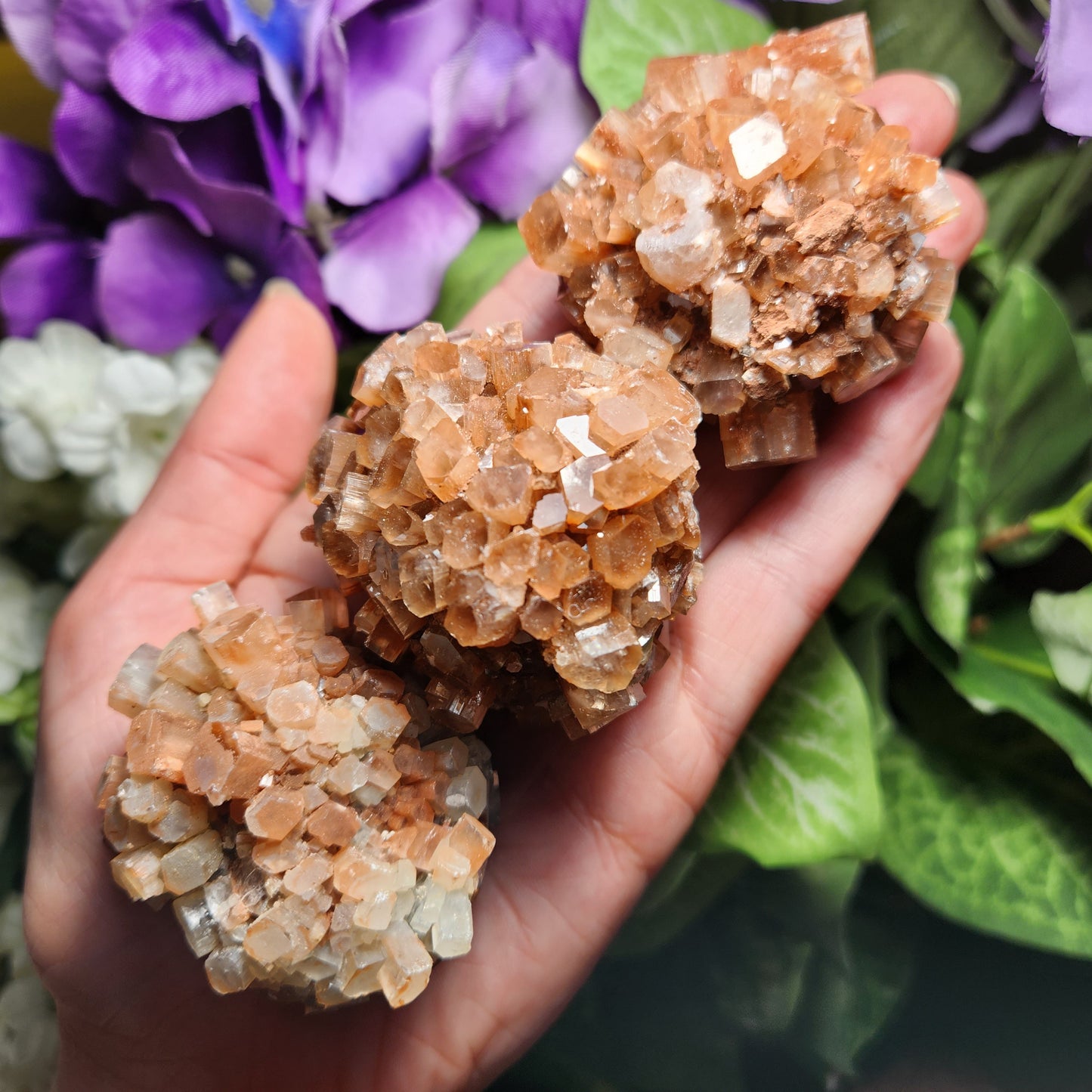 Aragonite Star Cluster
