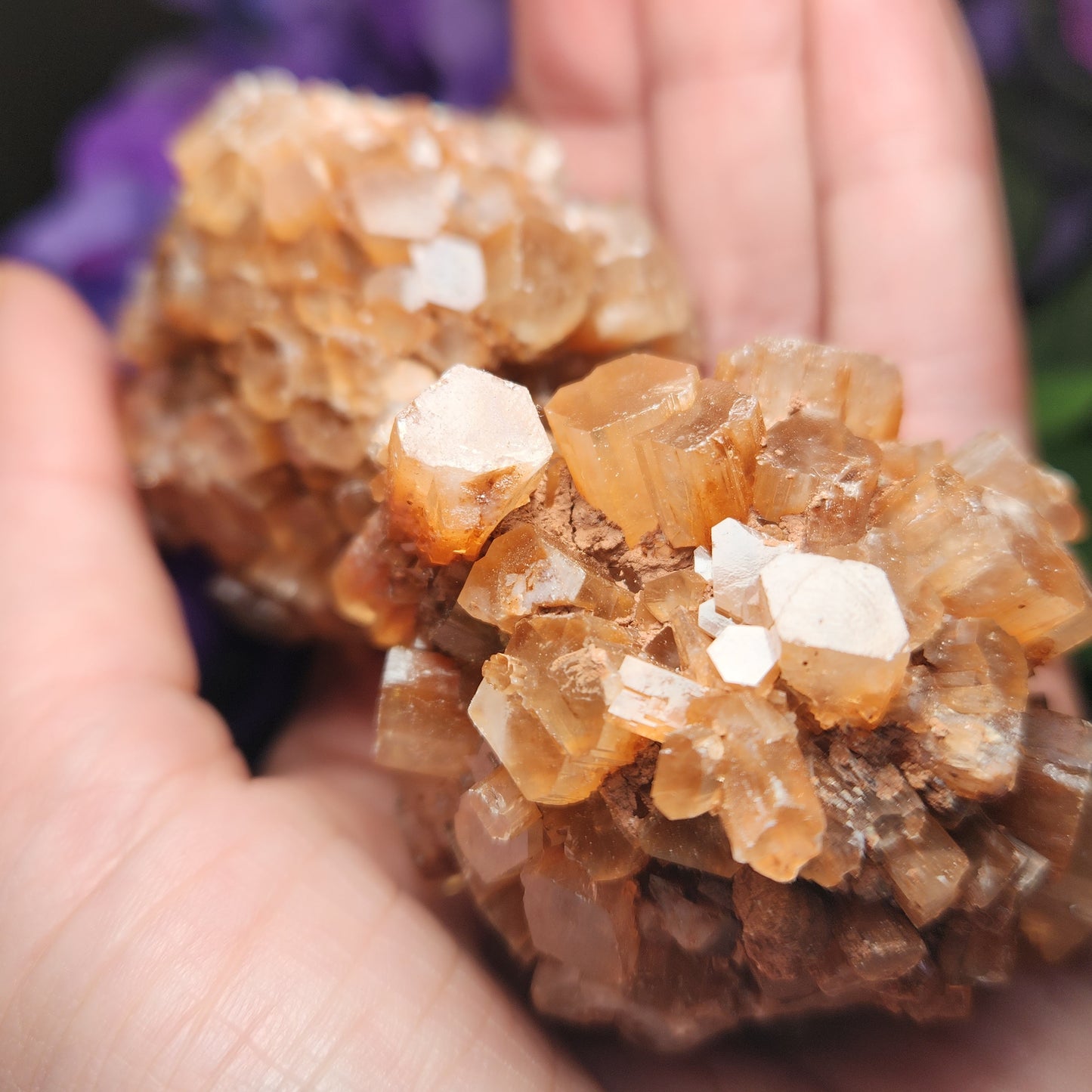 Aragonite Star Cluster