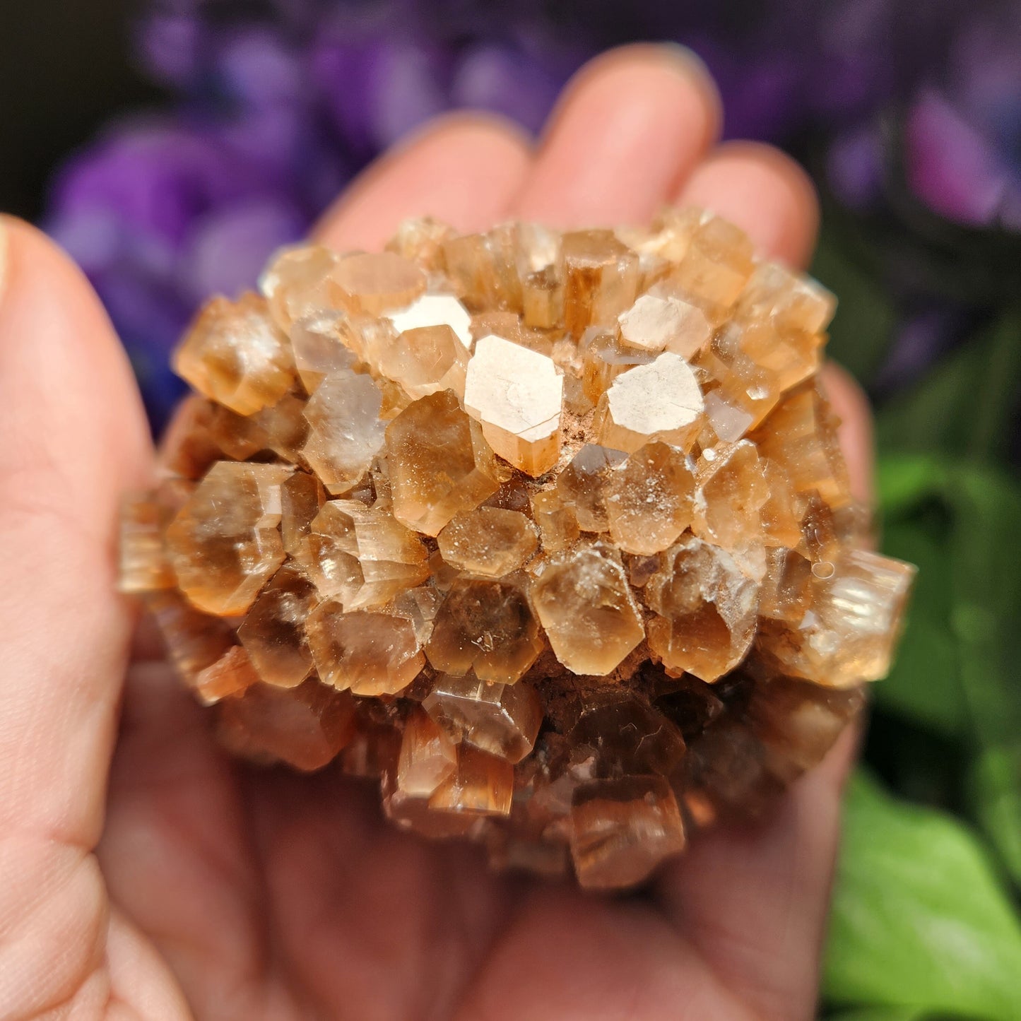 Aragonite Star Cluster