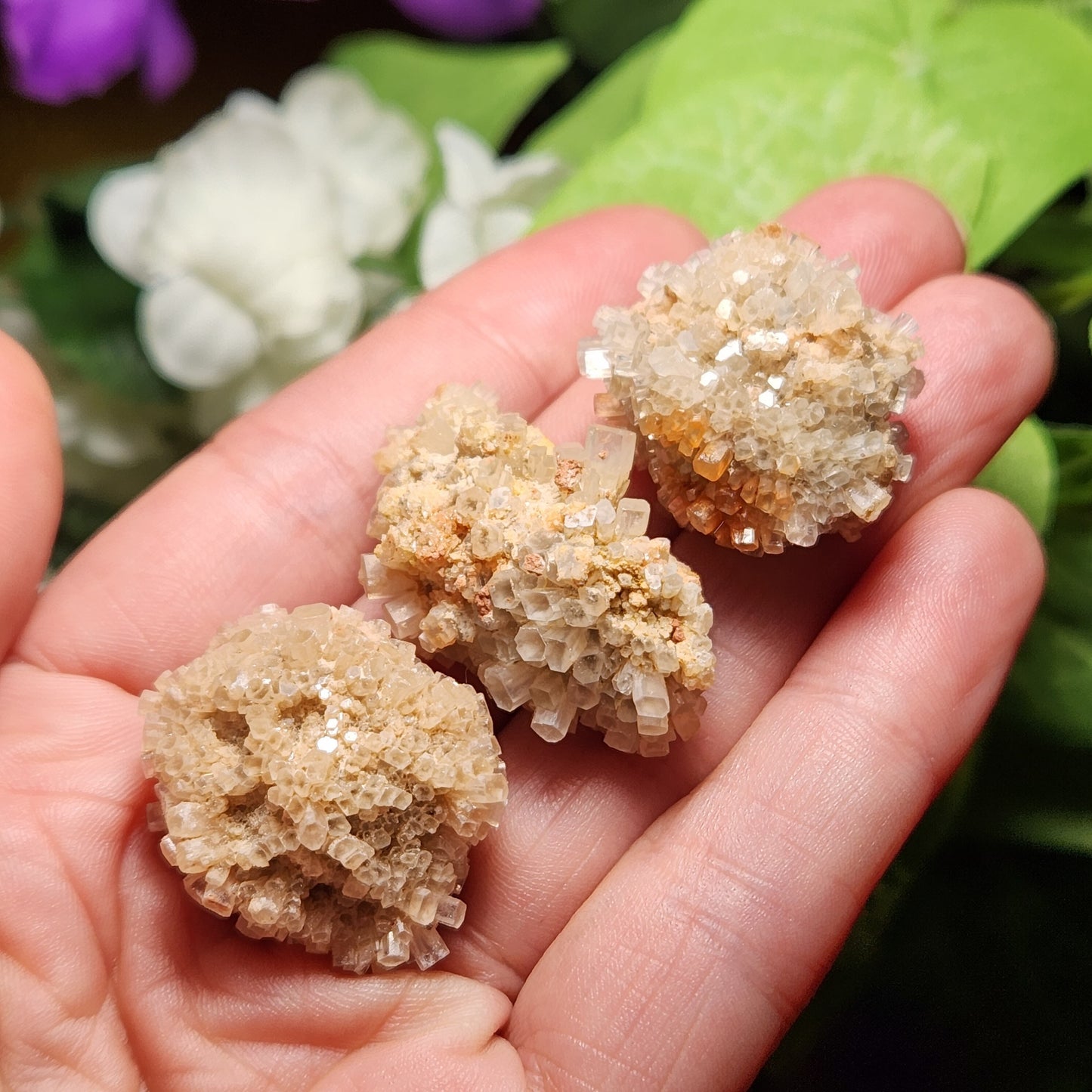 White Aragonite