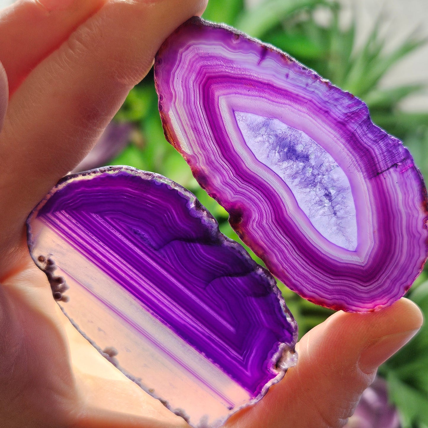 Purple Geode