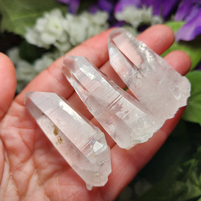 Lemurian Seed Crystal