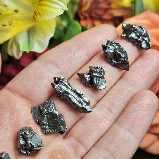 Meteorite Specimen