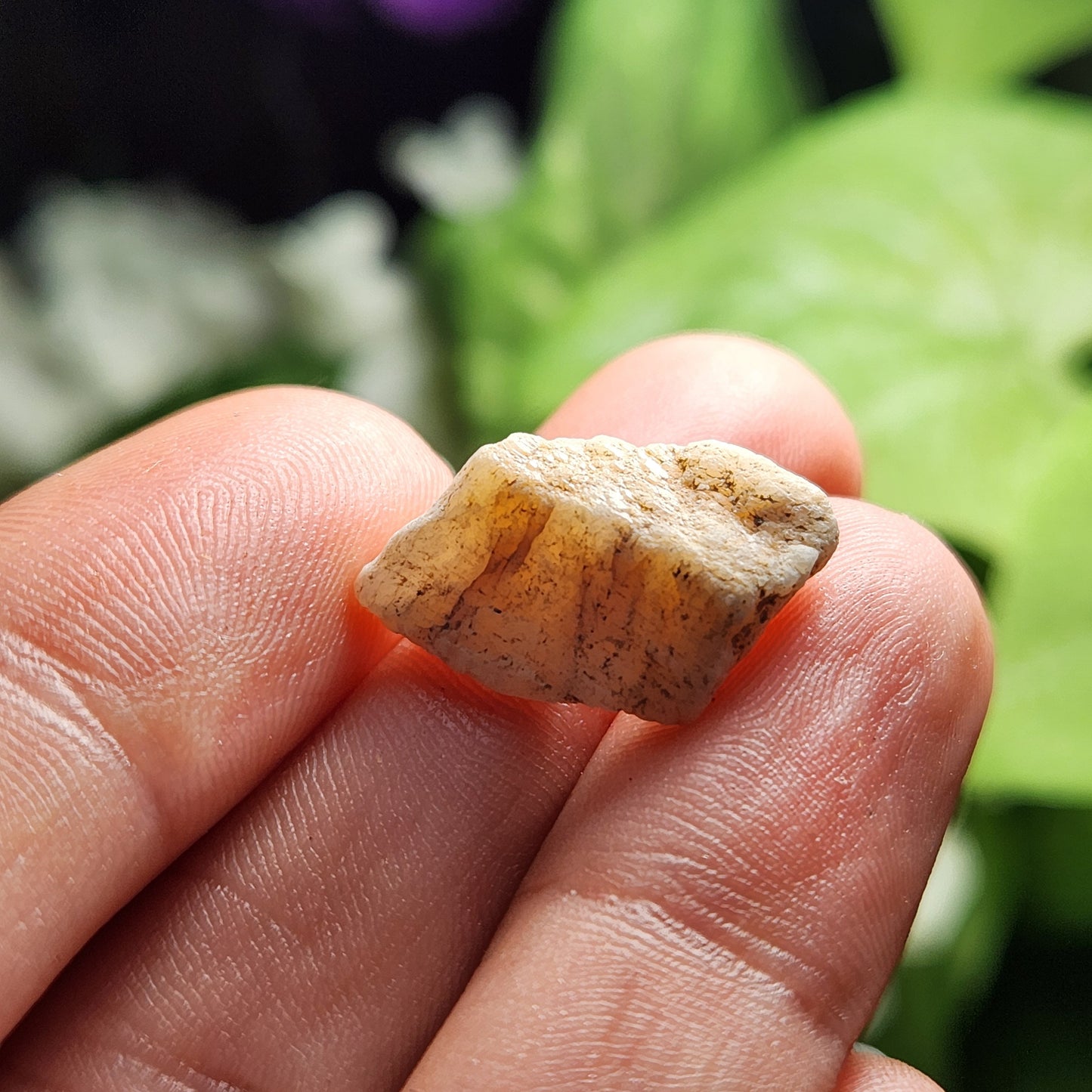 Golden Phenacite Specimen