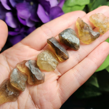 DARK Libyan Desert Glass