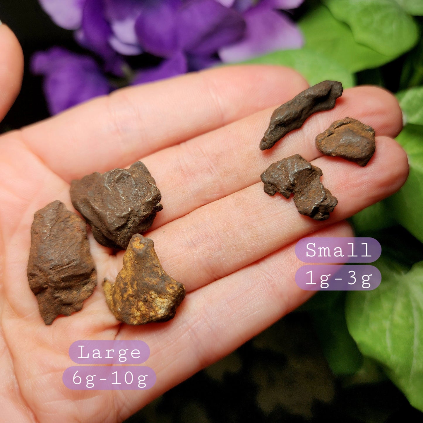 Egyptian Meteorite Specimen, Raw Meteor Stone, Iron Meteorite Fragments from Egypt