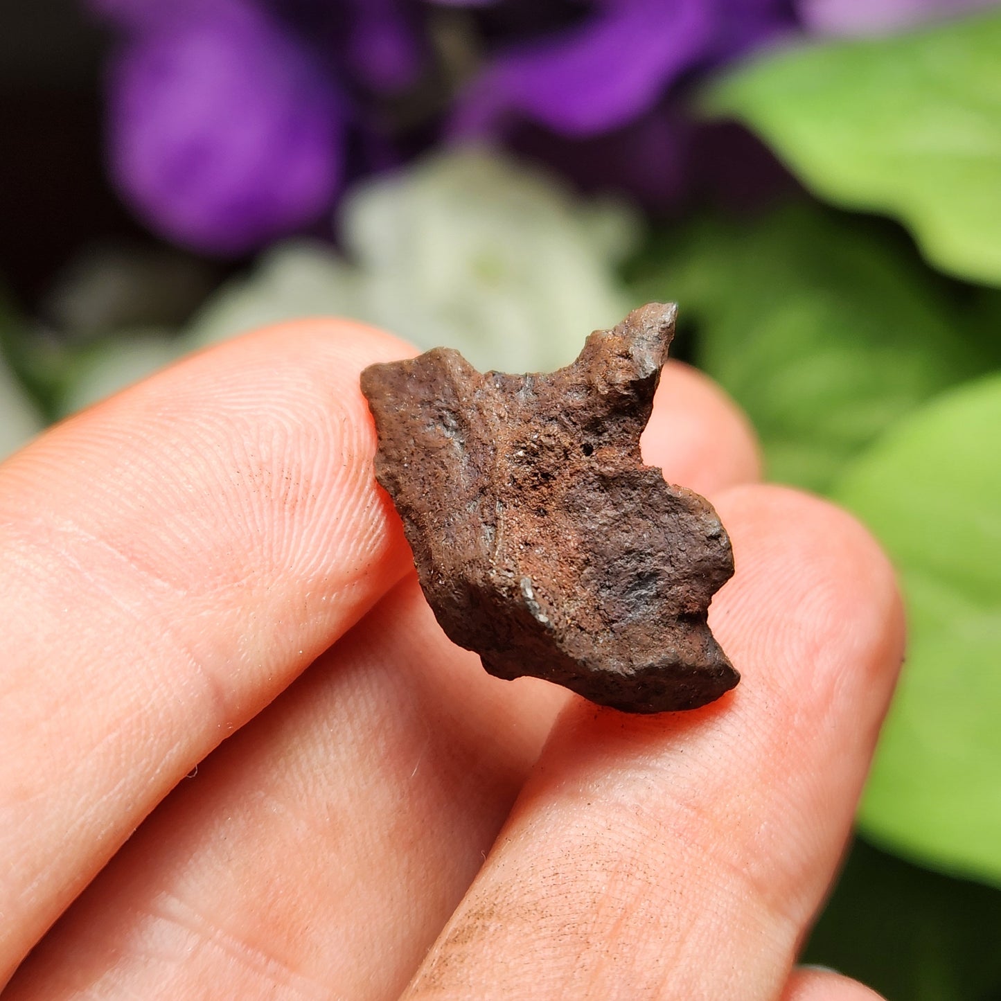 Egyptian Meteorite Specimen, Raw Meteor Stone, Iron Meteorite Fragments from Egypt