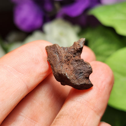 Egyptian Meteorite Specimen, Raw Meteor Stone, Iron Meteorite Fragments from Egypt