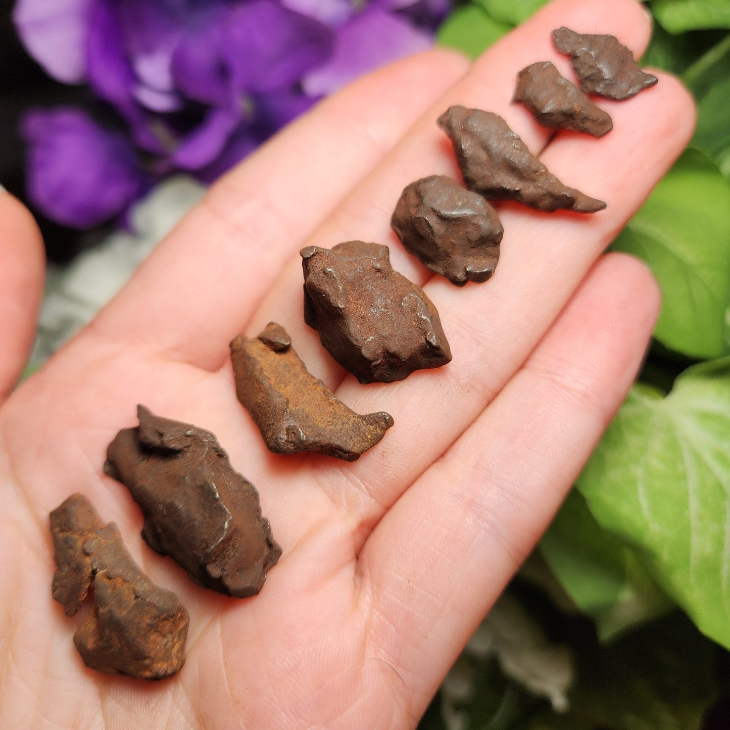 Egyptian Meteorite Specimen, Raw Meteor Stone, Iron Meteorite Fragments from Egypt