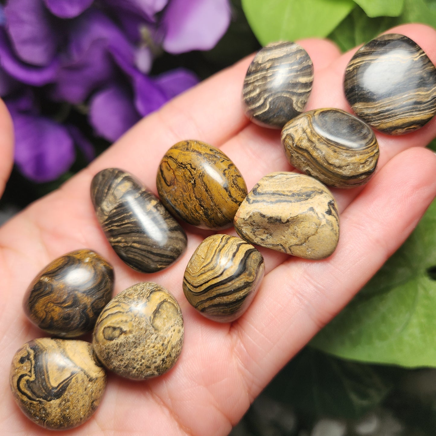 Stromatolite Fossil 0.75", Tumbled Fossil Specimen, Polished Stromatolite Stone