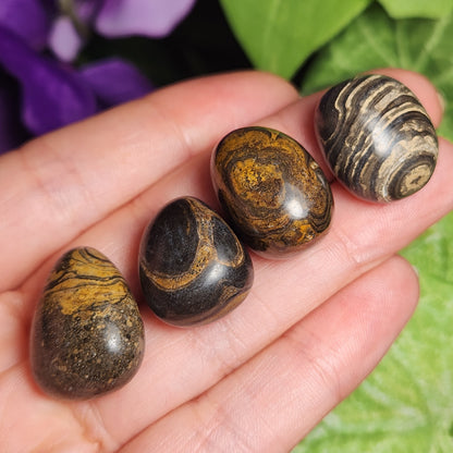 Stromatolite Fossil 0.75", Tumbled Fossil Specimen, Polished Stromatolite Stone