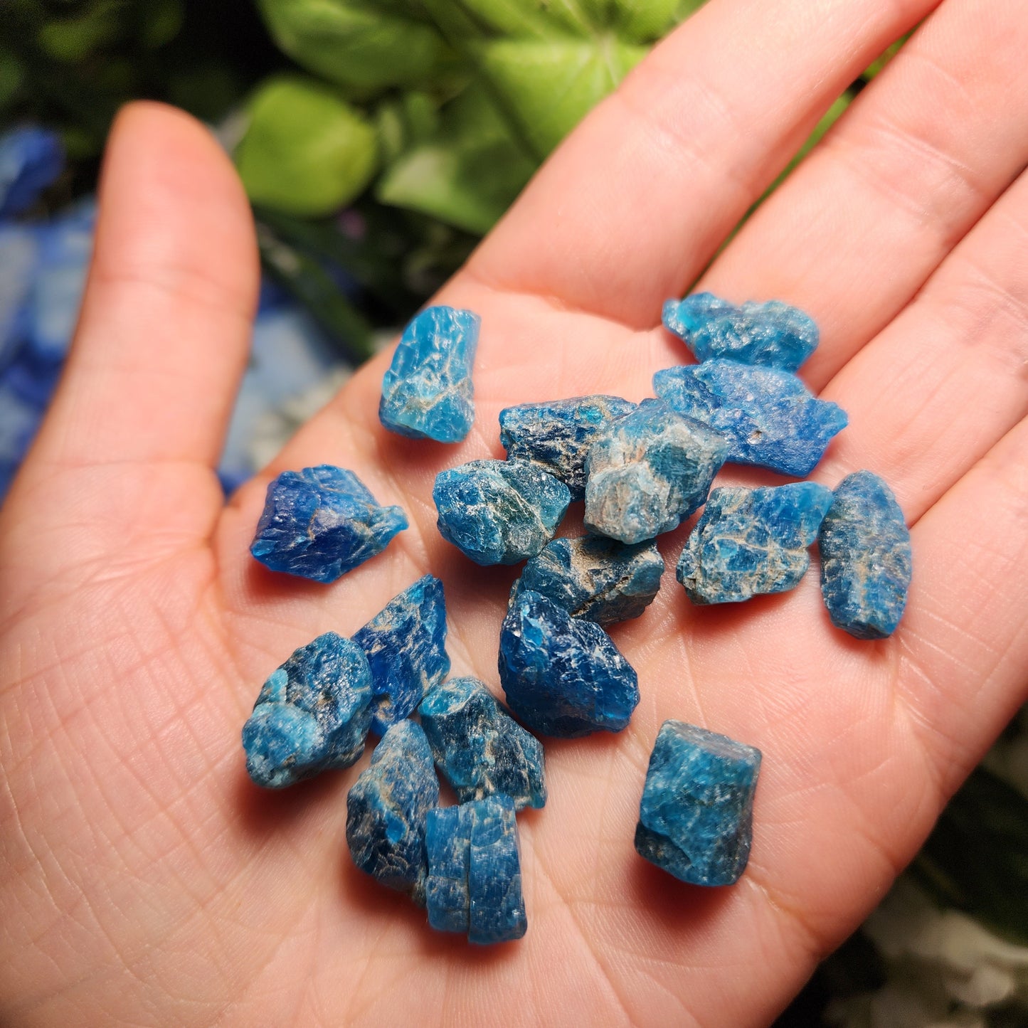 Neon Blue Apatite Crystal