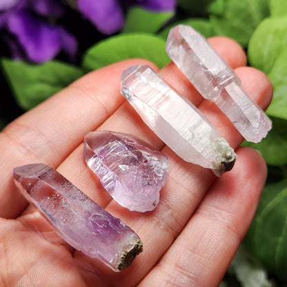 Vera Cruz Amethyst Crystal, 6~10 grams