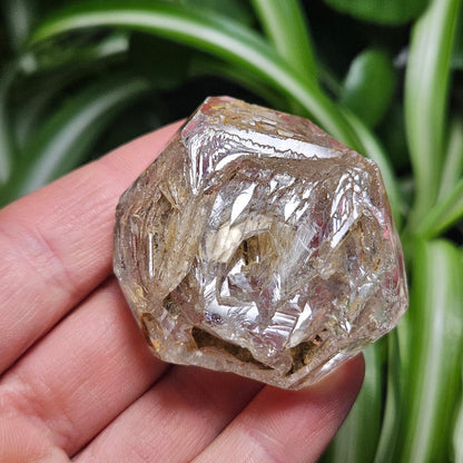 Enhydro Petroleum Quartz