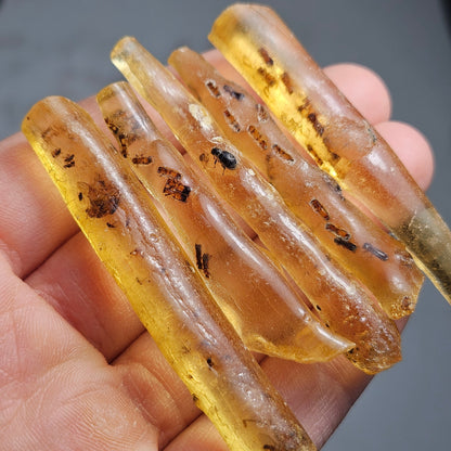 Amber Wand with Insects, Natural Young Amber with Bug Inclusions