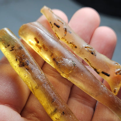 Amber Wand with Insects, Natural Young Amber with Bug Inclusions