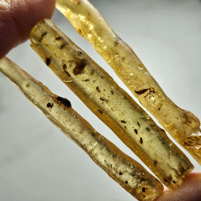 Amber Wand with Insects, Natural Young Amber with Bug Inclusions