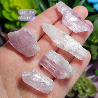 Etched Purple Kunzite Crystal, Raw Lavender Kunzite Specimen