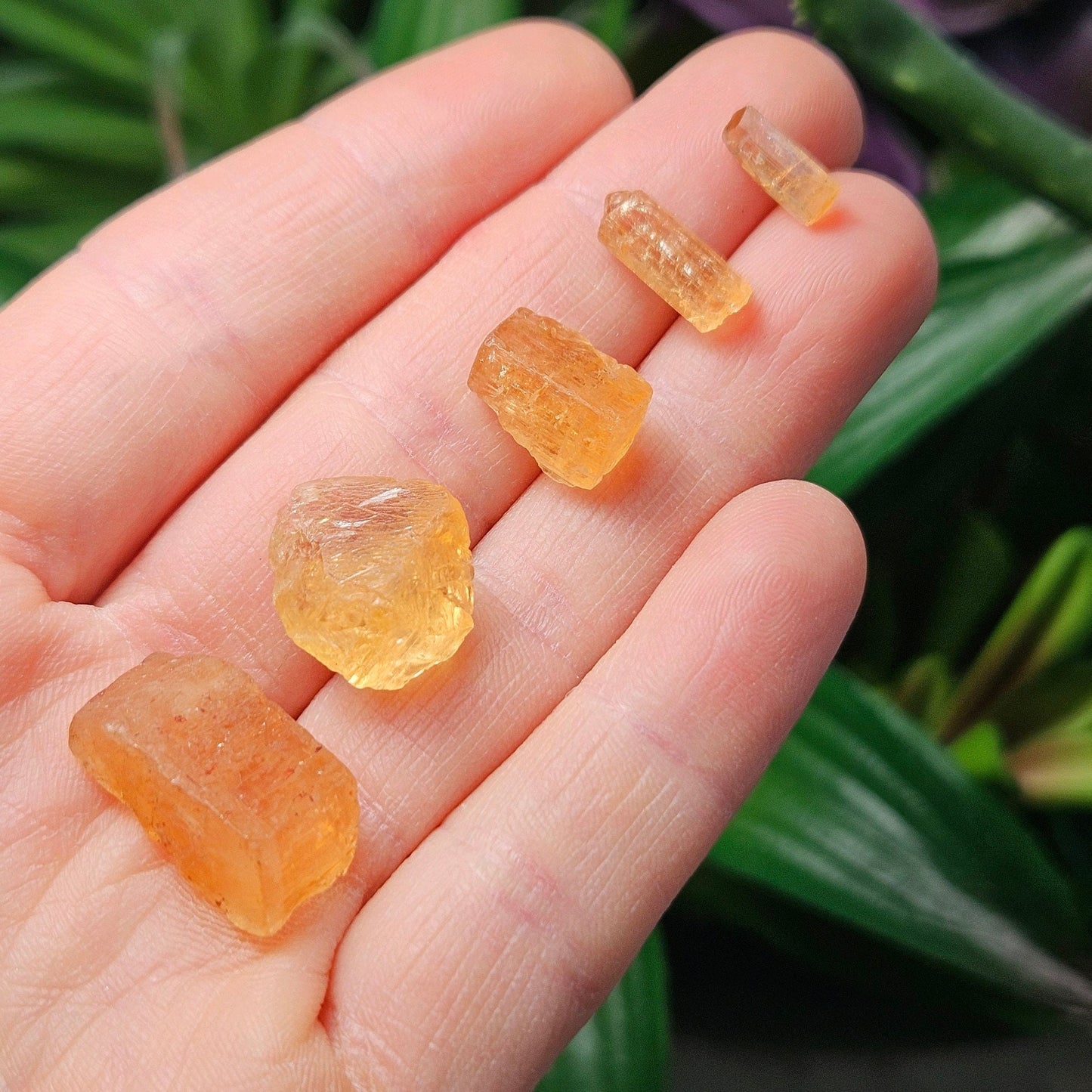 Imperial Topaz