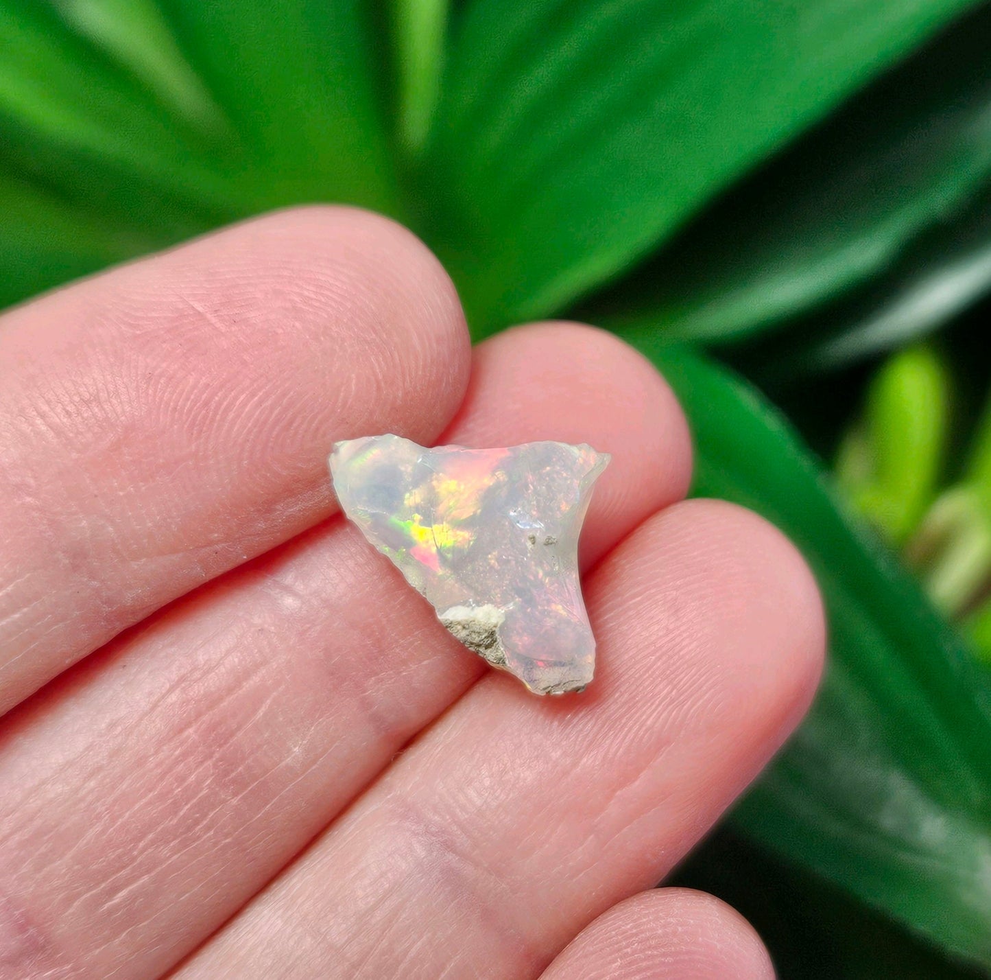 Opal Specimen
