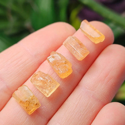 Imperial Topaz