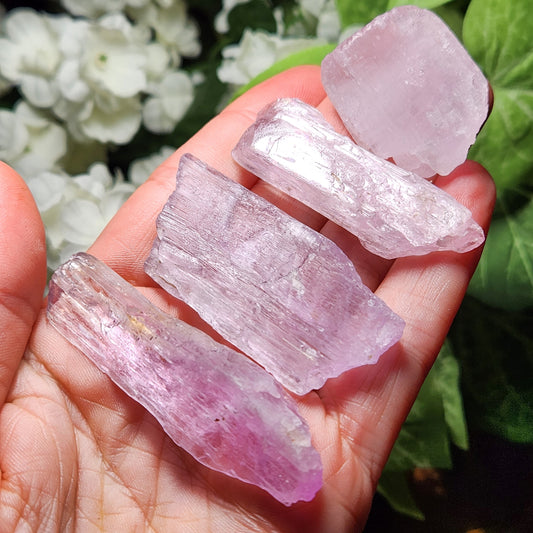 XL Kunzite Crystal
