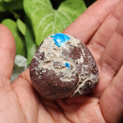 Cavansite Specimen