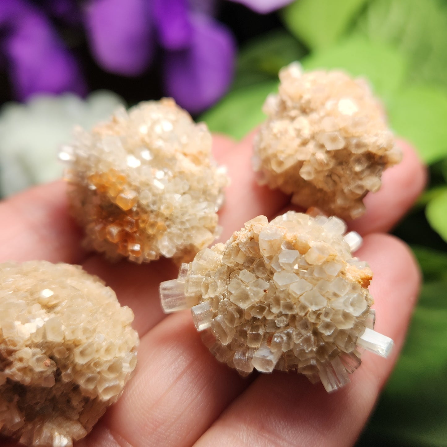 White Aragonite