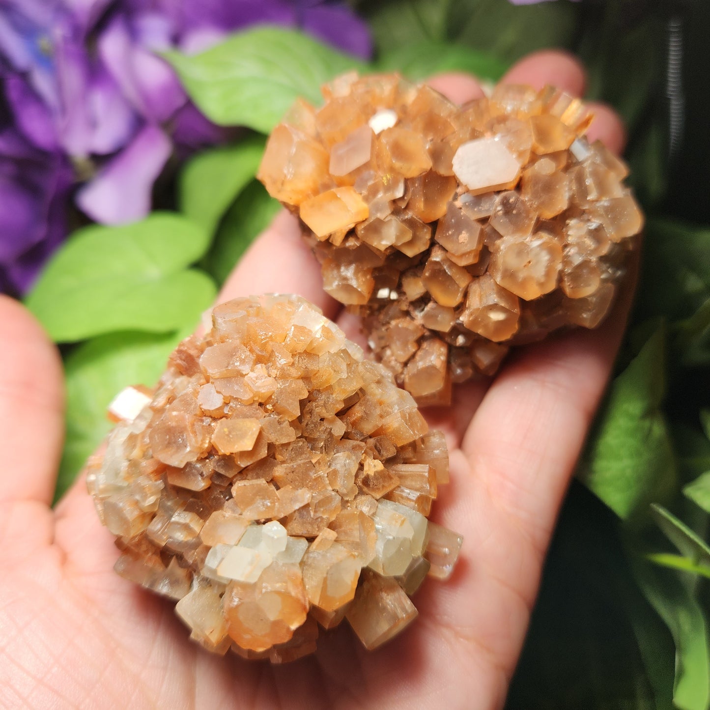 Aragonite Star Cluster