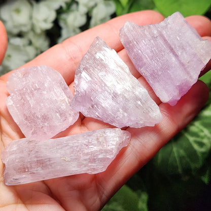 XL Kunzite Crystal