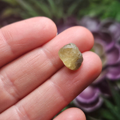 Golden Chrysoberyl Crystal, Rare Chrysoberyl Specimen from Brazil