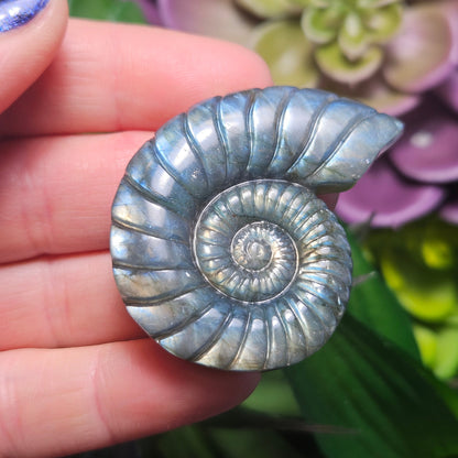 Ammonite Carving