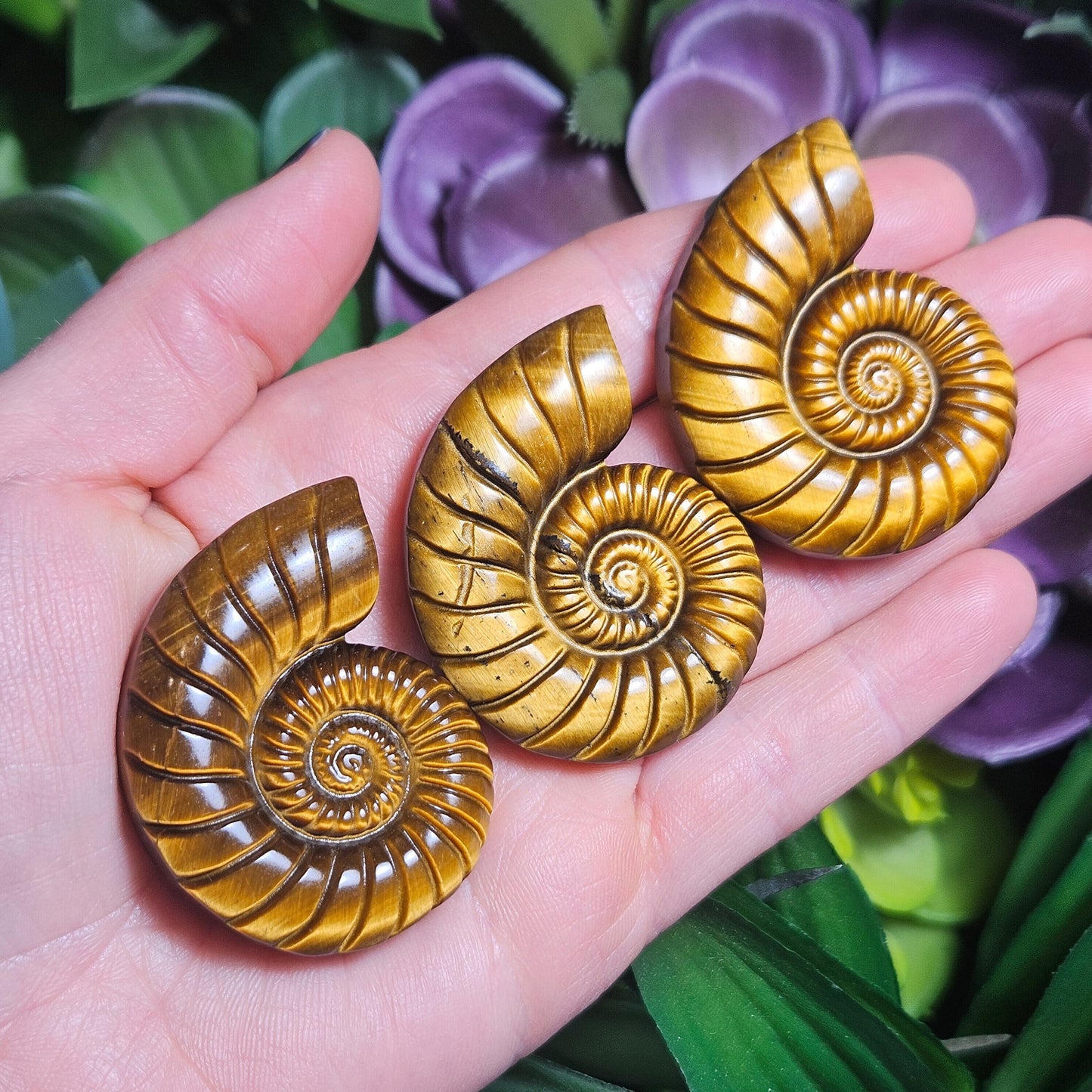 Tiger's Eye Nautilus Carving