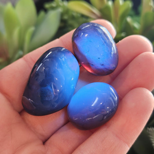 Blue Amber Specimen