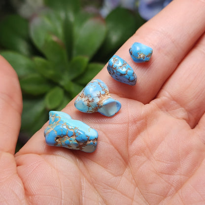 Golden Hills Turquoise