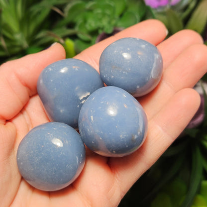 Angelite Crystal