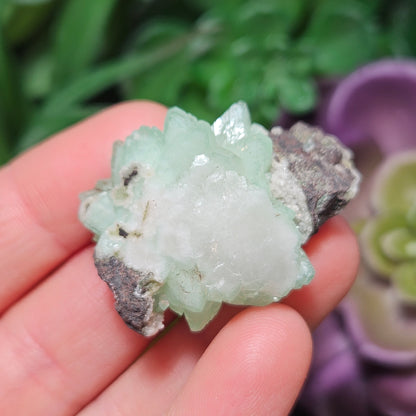 Green Apophyllite Crystal