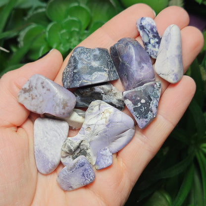 Tiffany Stone Specimen