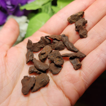 Egyptian Meteorite Specimen, Raw Meteor Stone, Iron Meteorite Fragments from Egypt