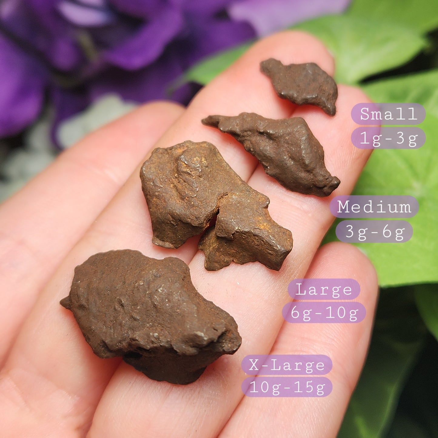 Egyptian Meteorite Specimen, Raw Meteor Stone, Iron Meteorite Fragments from Egypt