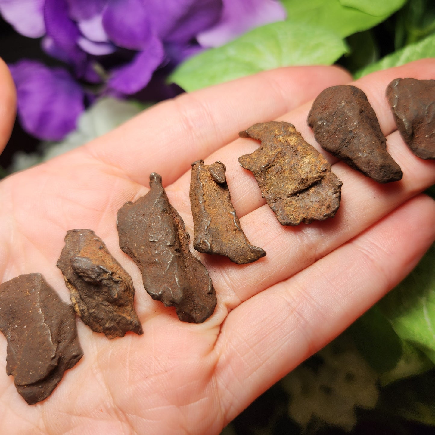 Egyptian Meteorite Specimen, Raw Meteor Stone, Iron Meteorite Fragments from Egypt
