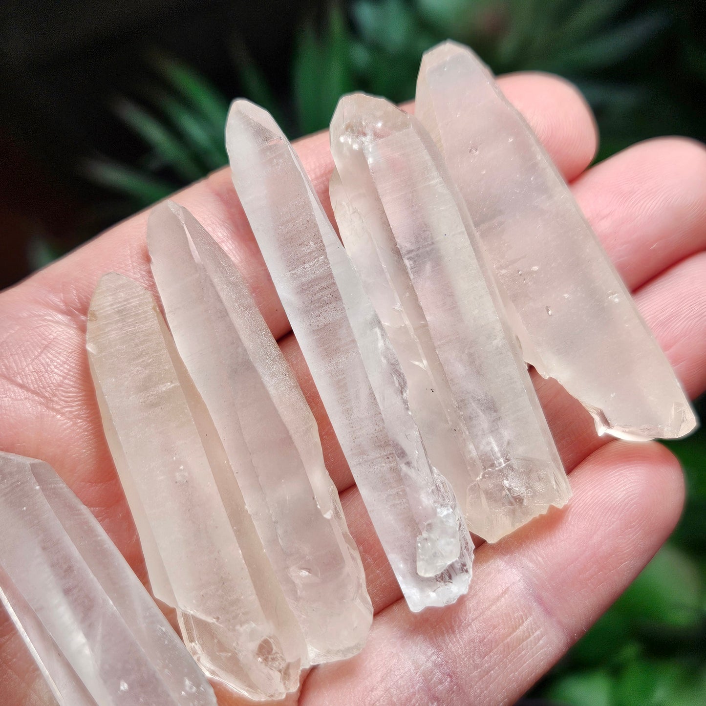 Lemurian Seed Crystal