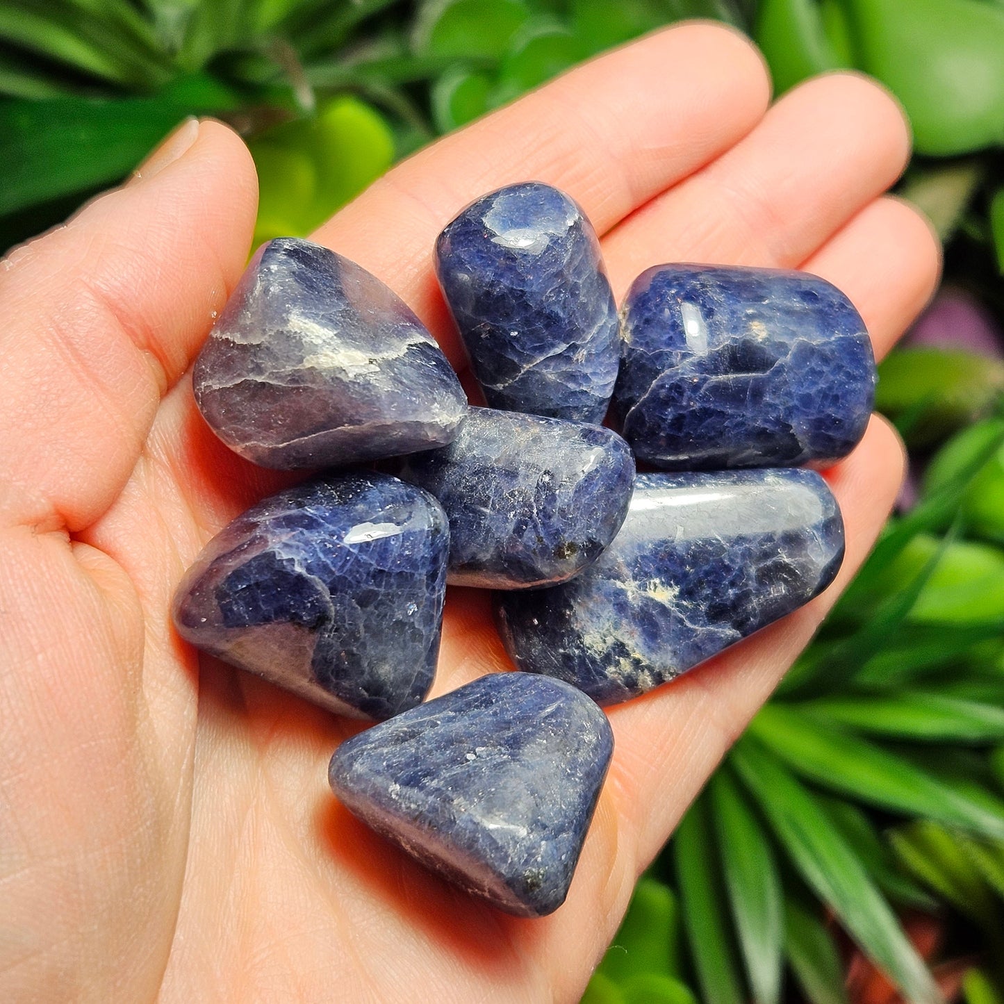 Tumbled Iolite