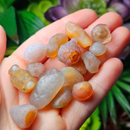 RARE Gobi Agate