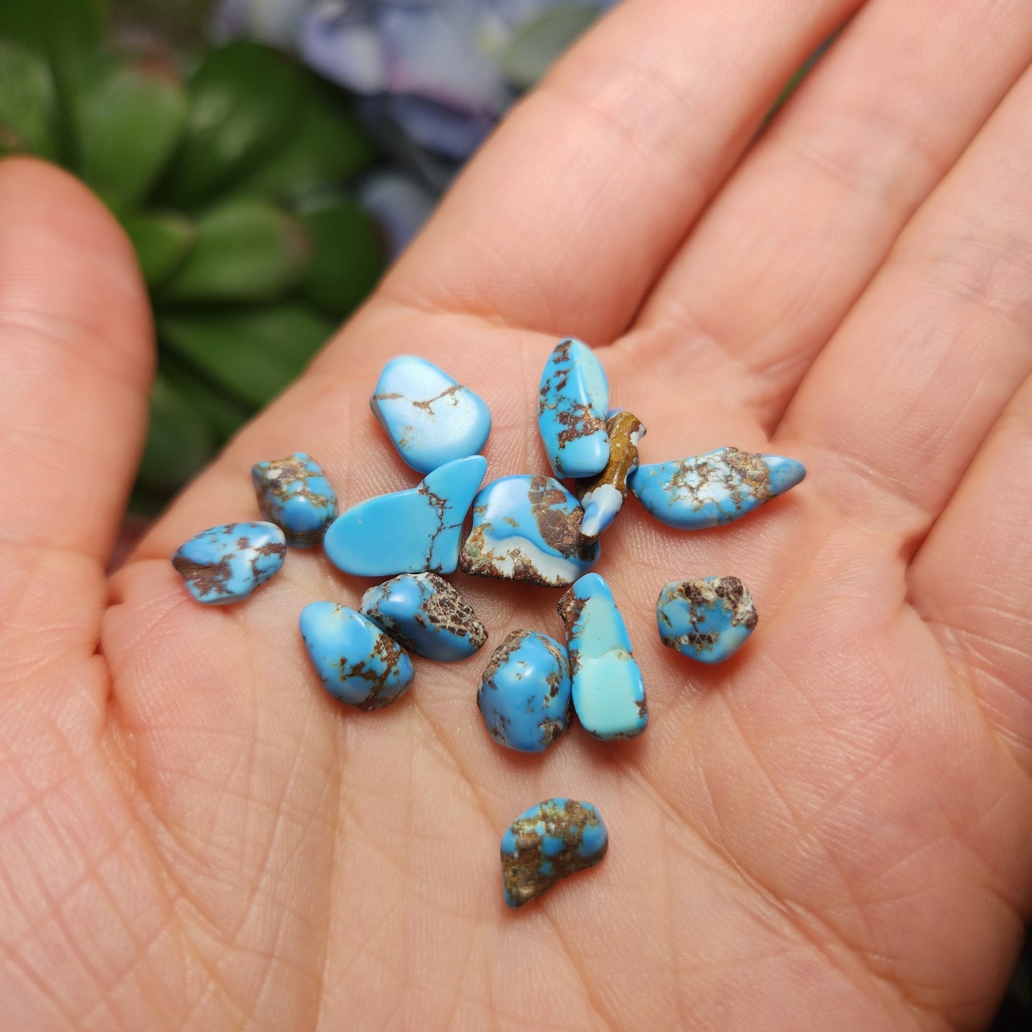 Golden Hills Turquoise