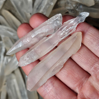Lemurian Seed Crystal